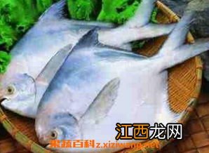 昌鱼和什么菜一起吃好