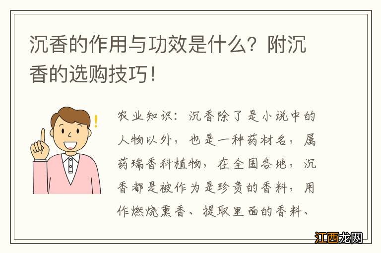 沉香的作用与功效是什么？附沉香的选购技巧！