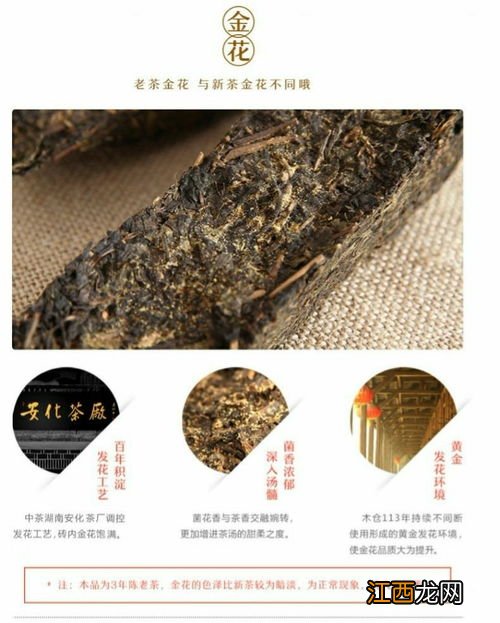 手筑茯砖怎么泡