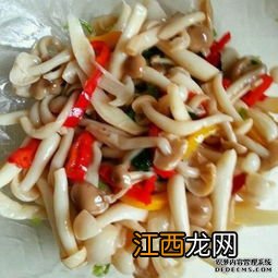海鲜菇怎么凉拌