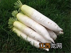 炸青蚕不能与什么食物同吃