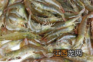 海虾怎么选新鲜的