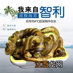 海茸怎么保存