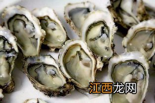 海蛎子怎么吃都能吃吗