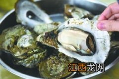 海蛎子煮了怎么保存