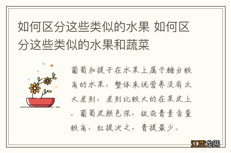 如何区分这些类似的水果 如何区分这些类似的水果和蔬菜