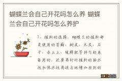 蝴蝶兰会自己开花吗怎么养 蝴蝶兰会自己开花吗怎么养护