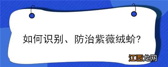 如何识别、防治紫薇绒蚧?