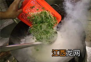 豆苗煮多久熟