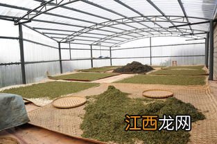 茶叶有火烟味怎么去除