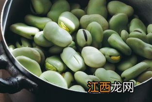 蚕豆多久熟