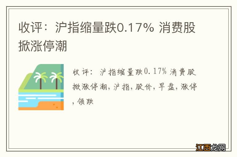 收评：沪指缩量跌0.17% 消费股掀涨停潮