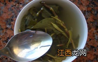 怎么煮鱼腥草茶