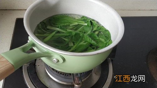 给婴儿吃的菜泥怎么做好吃