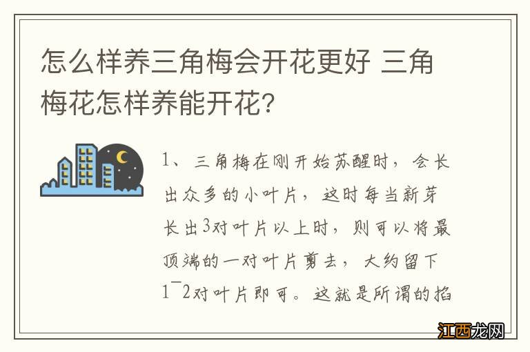 怎么样养三角梅会开花更好 三角梅花怎样养能开花?