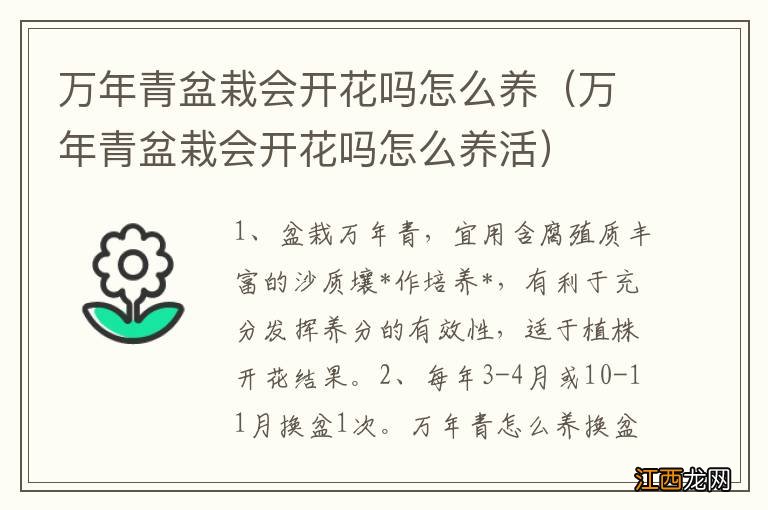 万年青盆栽会开花吗怎么养活 万年青盆栽会开花吗怎么养