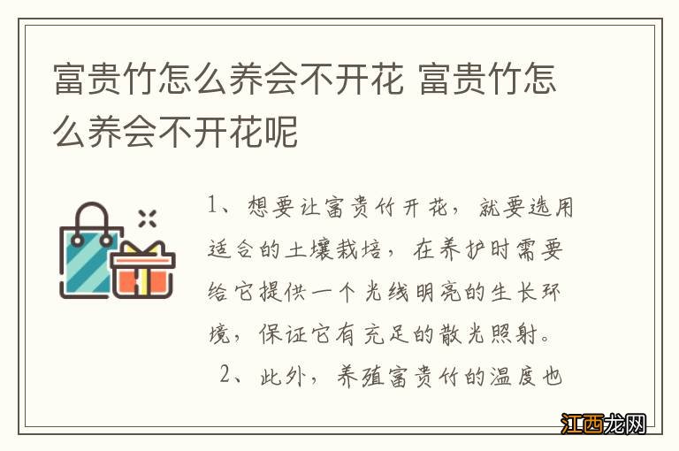 富贵竹怎么养会不开花 富贵竹怎么养会不开花呢