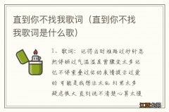 直到你不找我歌词是什么歌 直到你不找我歌词