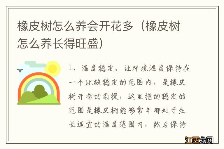 橡皮树怎么养长得旺盛 橡皮树怎么养会开花多