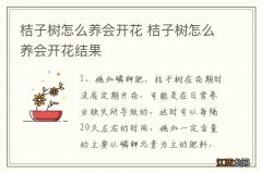 桔子树怎么养会开花 桔子树怎么养会开花结果