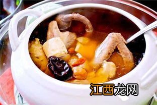 鸽子汤怎么炖最营养鸽