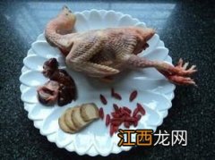 鸽子给小孩吃怎么做好吃