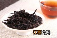 熟普洱茶苦是怎么回事