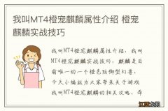 我叫MT4橙宠麒麟属性介绍 橙宠麒麟实战技巧