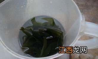 海带莲藕大骨汤有什么营养