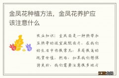 金凤花种植方法，金凤花养护应该注意什么