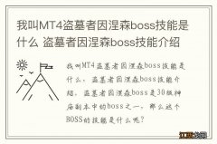 我叫MT4盗墓者因涅森boss技能是什么 盗墓者因涅森boss技能介绍