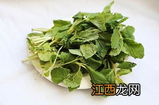 干薄荷叶做什么菜比较好