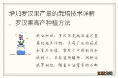 增加罗汉果产量的栽培技术详解，罗汉果高产种植方法