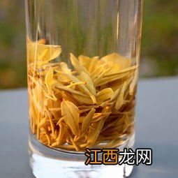 黄金芽茶叶怎么泡