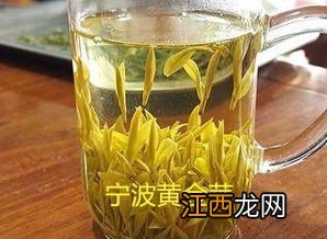 黄金芽茶叶怎么泡