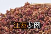 红薯吃多了会上火 红薯什么时候吃比较好