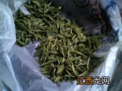 刚摘鲜茶叶怎么保存