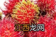 菠萝蜜可以冷冻保存吗 菠萝蜜可以冷冻多少天