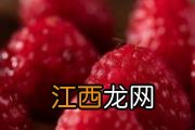 覆盆子什么味道 覆盆子什么时候成熟