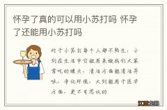 怀孕了真的可以用小苏打吗 怀孕了还能用小苏打吗