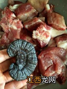 干灵芝炖排骨怎么做法大全