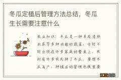 冬瓜定植后管理方法总结，冬瓜生长需要注意什么