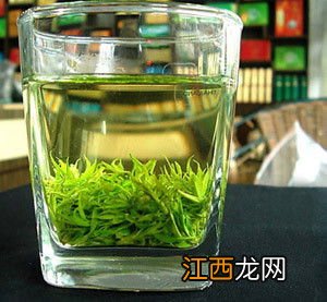 小叶苦丁茶怎么