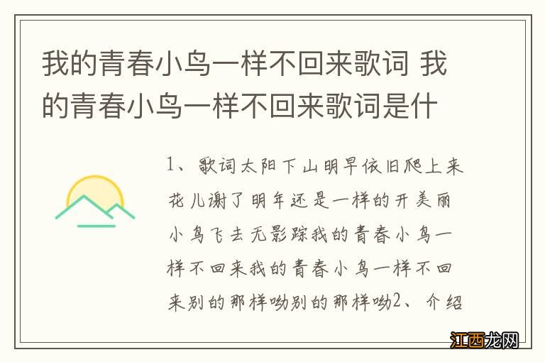 我的青春小鸟一样不回来歌词 我的青春小鸟一样不回来歌词是什么意思