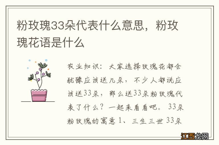 粉玫瑰33朵代表什么意思，粉玫瑰花语是什么