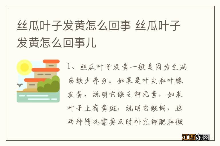 丝瓜叶子发黄怎么回事 丝瓜叶子发黄怎么回事儿