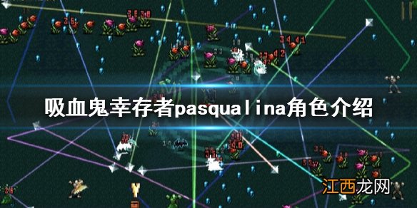 吸血鬼幸存者pasqualina是谁 pasqualina角色介绍