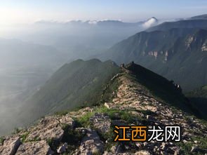 怎么形容一片茶山