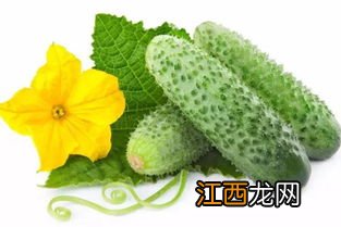 水果黄瓜可以炒什么菜