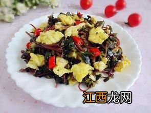 马齿苋菜炒鸡蛋能什么